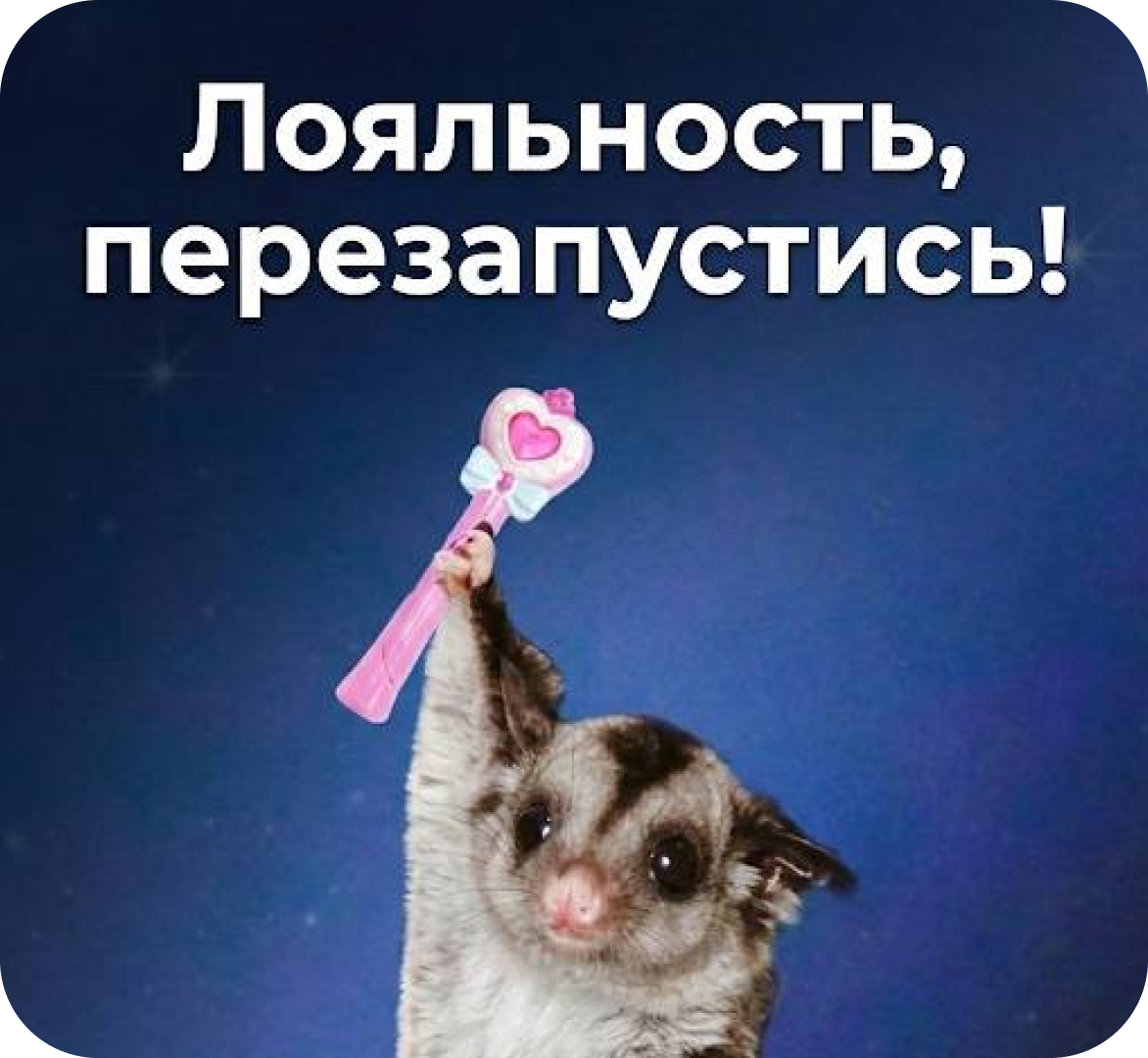Перезапуск программы лояльности: краткое руководство
