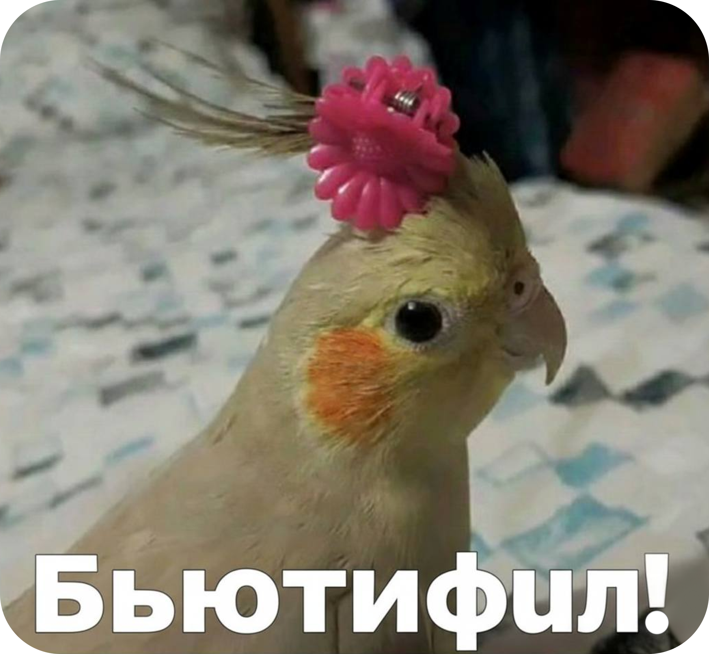 Почему контекст — основа дизайна коммуникаций в&nbsp;2026 году