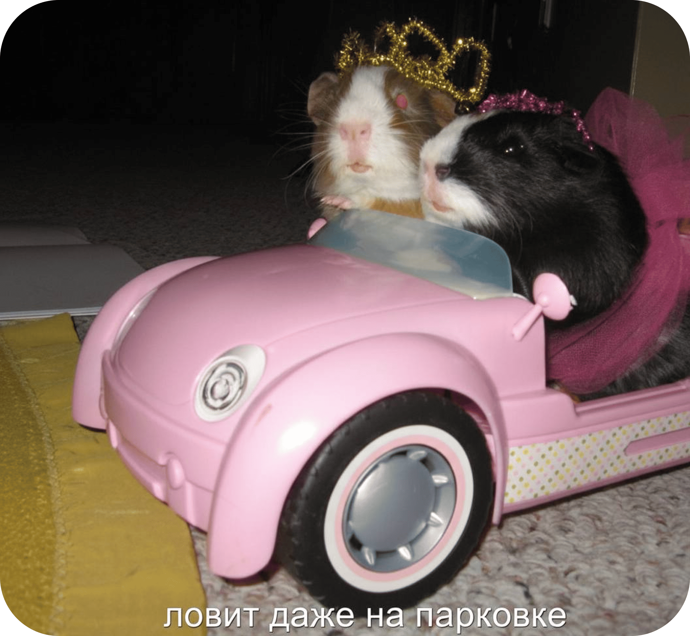 Как изменится мессенджер-маркетинг в&nbsp;2026 году