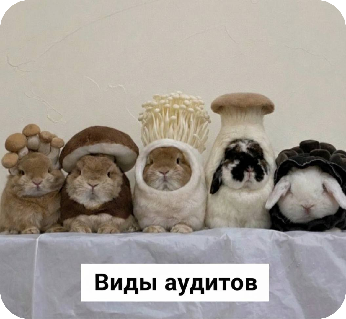 Аудит CRM-маркетинга: что на&nbsp;самом деле стоит проверять и&nbsp;где искать точки роста