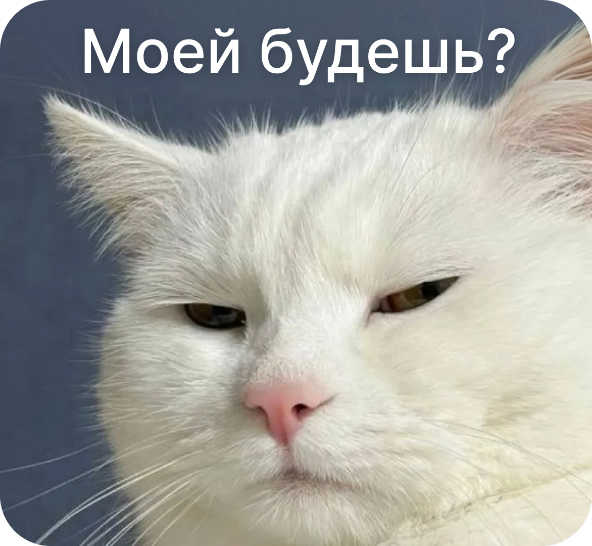 Праздники в&nbsp;CRM-коммуникации. Спецпроект Mailfit и&nbsp;CRM Awards ко&nbsp;Дню святого Валентина