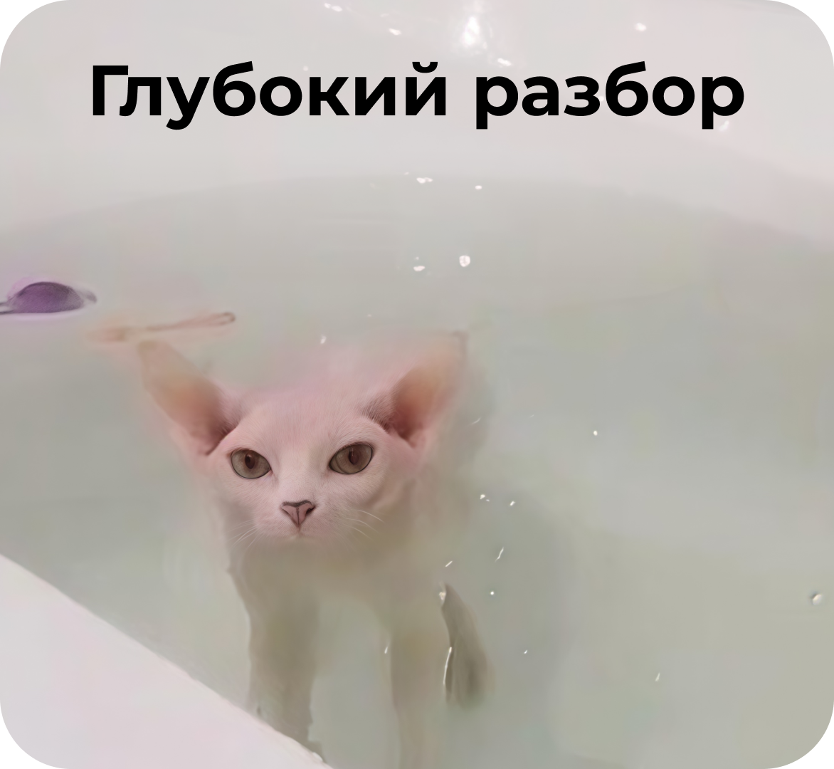 Разбор коммуникаций: выпуск № 1