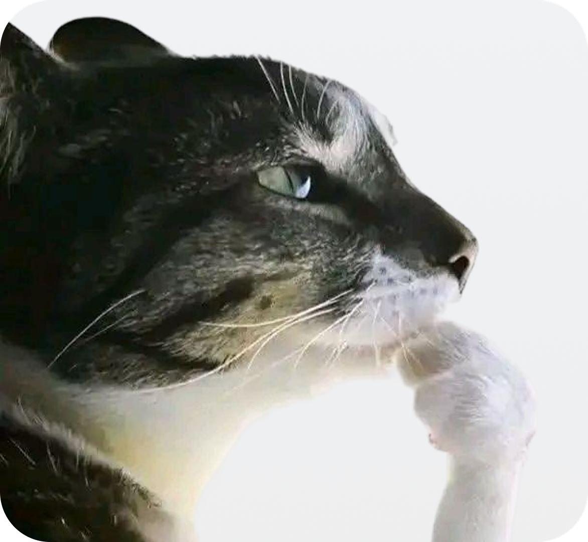 Больше писем = больше продаж?