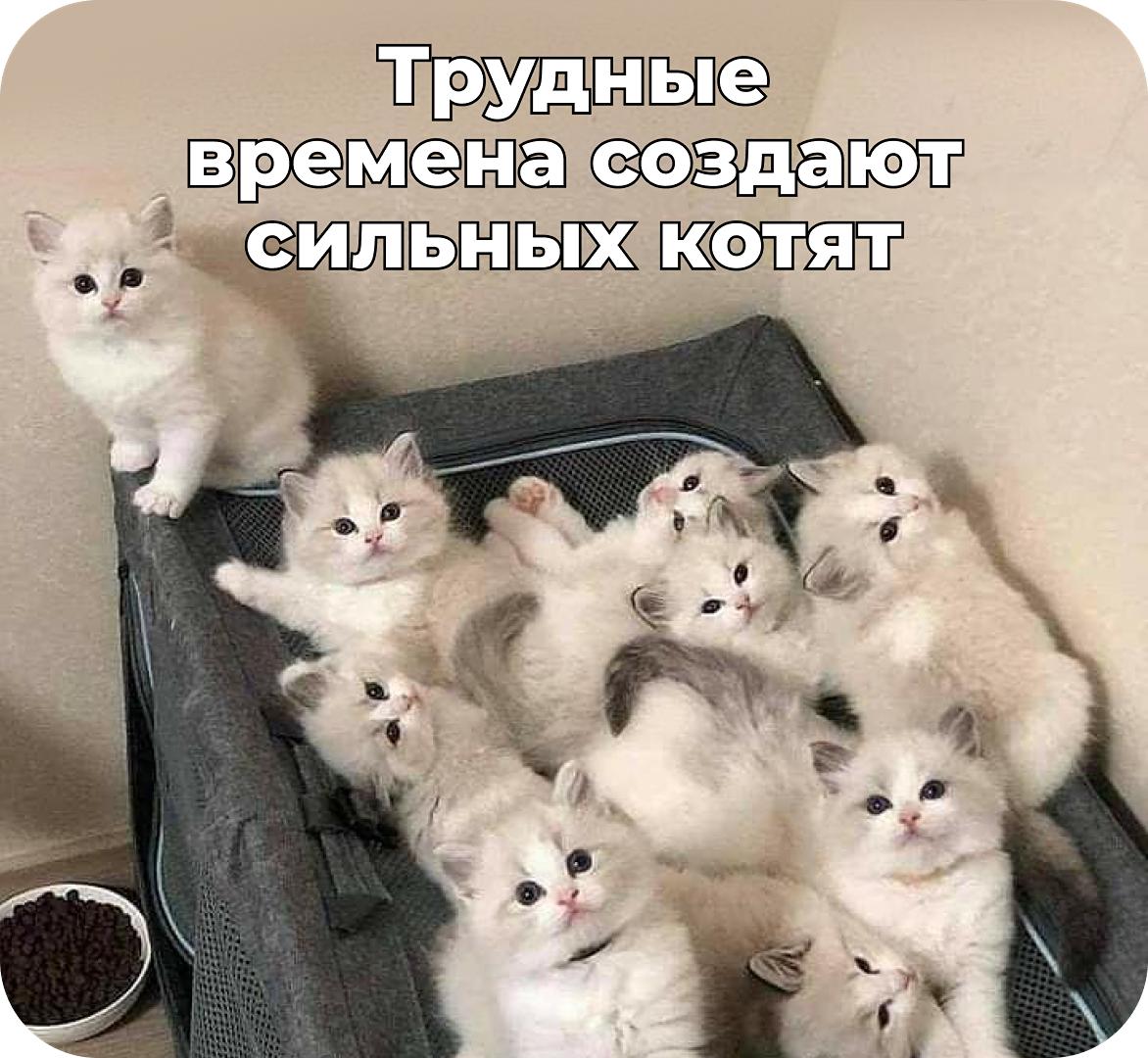 Как бизнесу действовать в&nbsp;кризис: переосмысление роли CRM и&nbsp;трансформация бизнес-модели