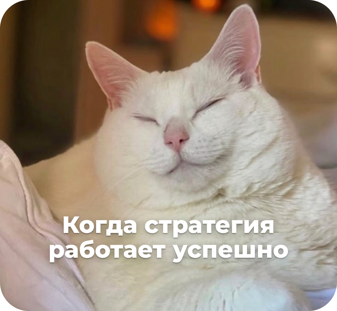 Принципы формирования контентной стратегии