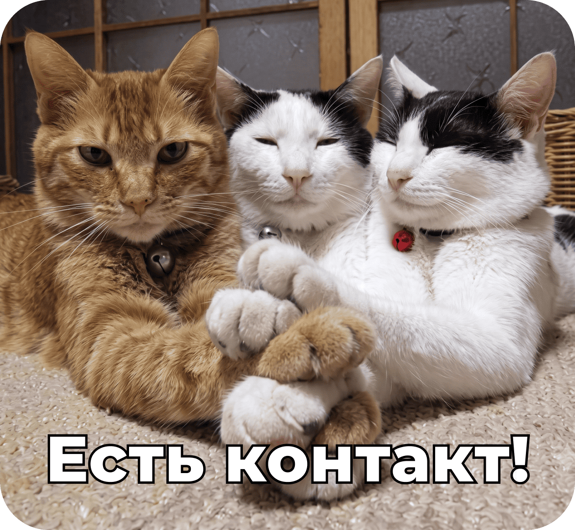 Кейс: как мы&nbsp;разработали контактную политику для крупного медиа