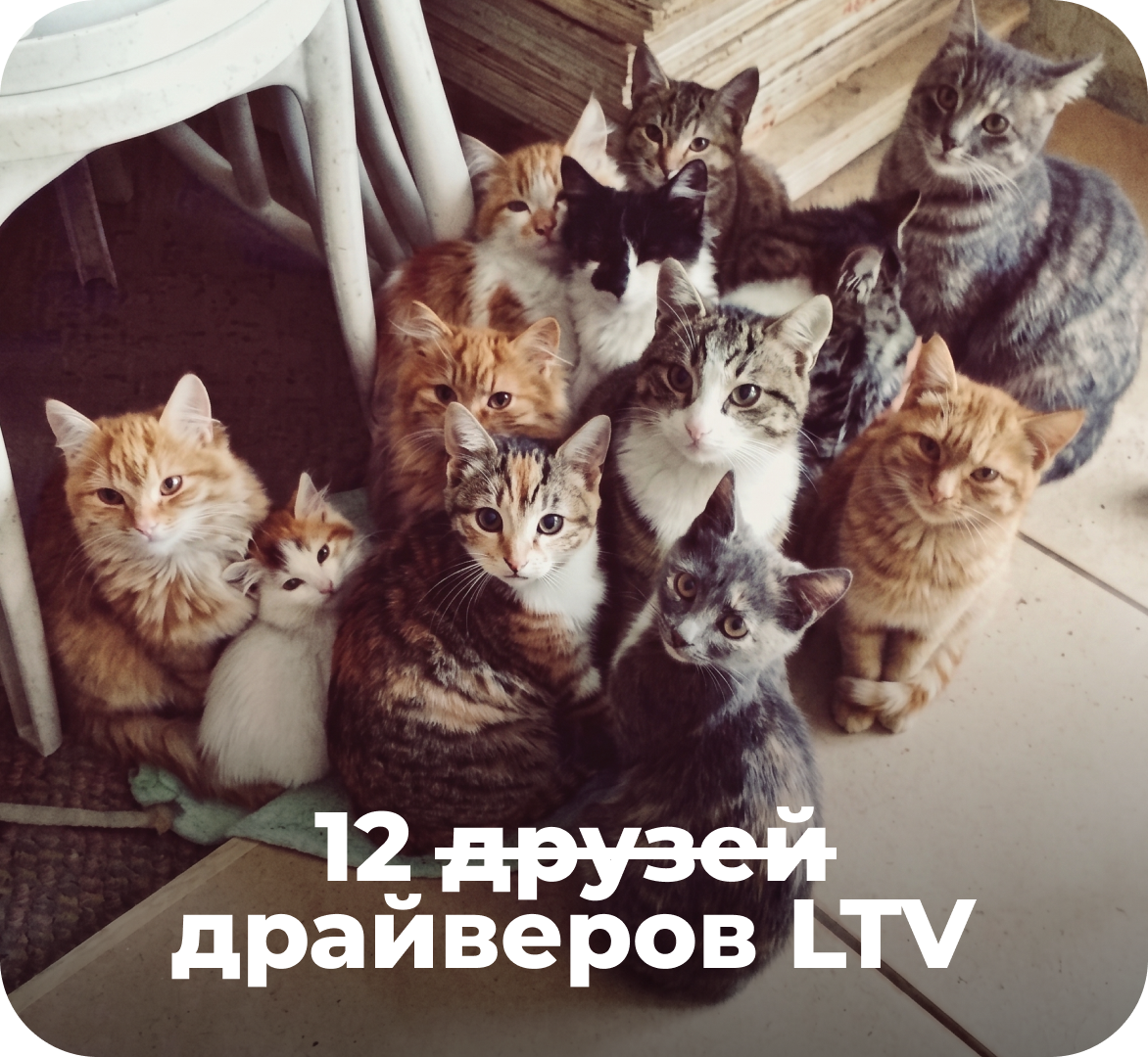 Глава 3. Что влияет на&nbsp;LTV. Экономика жизненной ценности клиента