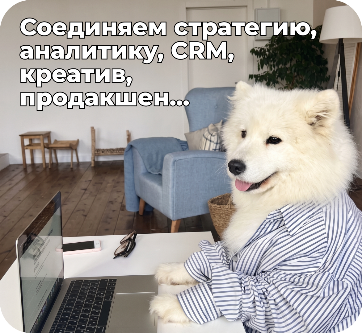 Глава 5. Методология Mailfit: как превращать LTV в&nbsp;систему управления ценностью клиента