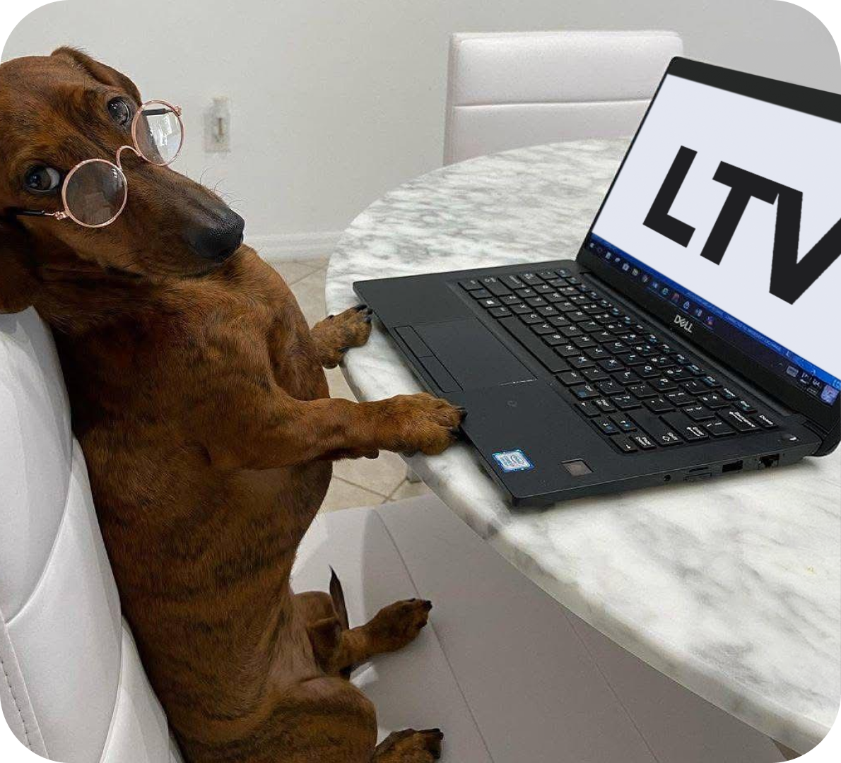 Глава 1. Что такое LTV и&nbsp;почему именно этот показатель определяет стоимость бизнеса
