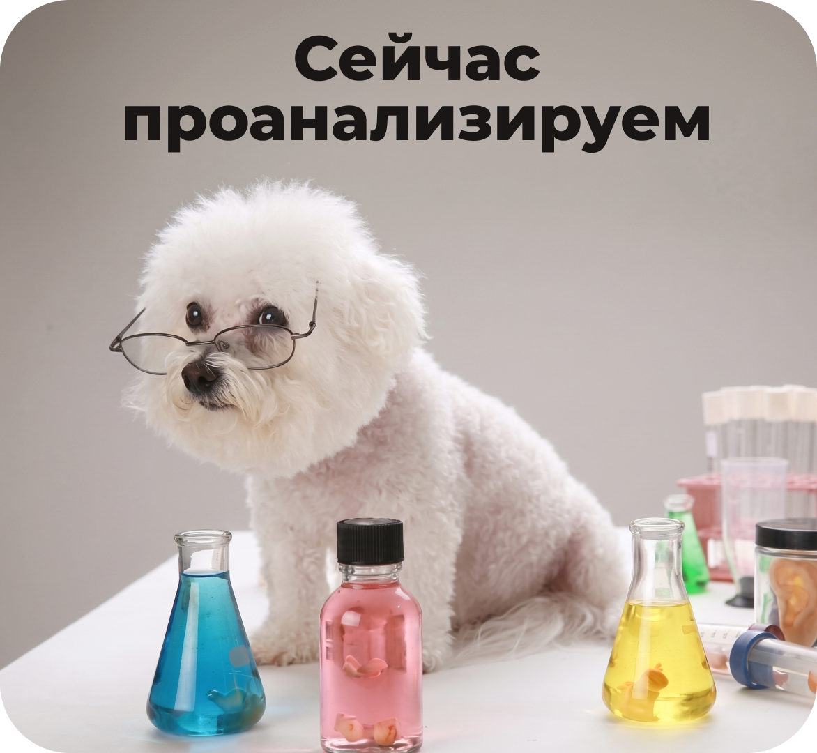 Когортный анализ в&nbsp;CRM-маркетинге: как понять поведение клиентов во&nbsp;времени и&nbsp;находить точки роста