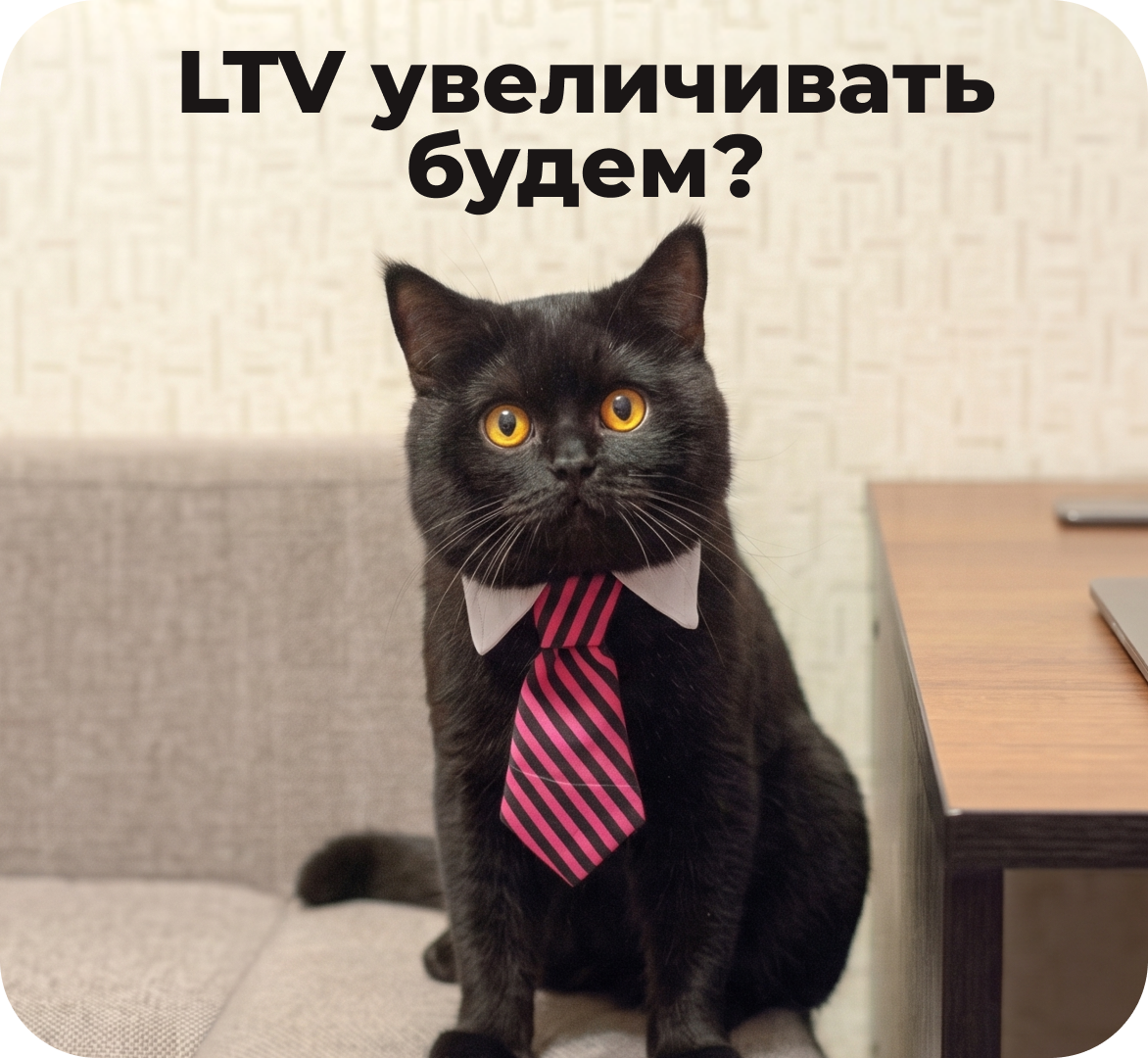 Глава 6. Практическое руководство для руководителей бизнеса: как внедрить систему управления LTV